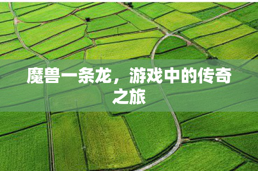 游戏中的传奇之旅图片