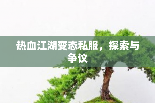 热血江湖变态私服图片