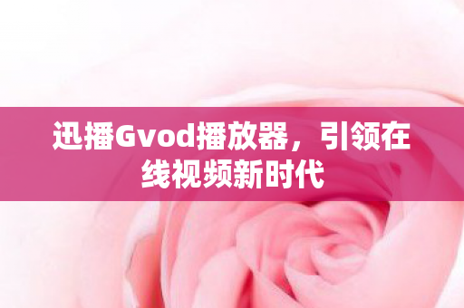 迅播Gvod播放器图片
