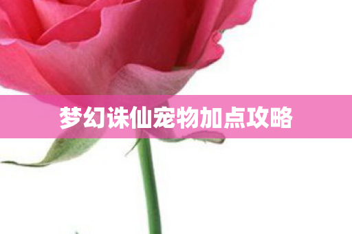 梦幻诛仙宠物加点攻略图片