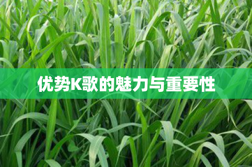 优势K歌的魅力与重要性图片