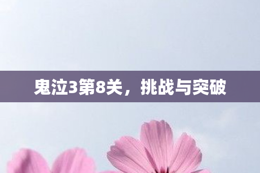 鬼泣3第8关图片