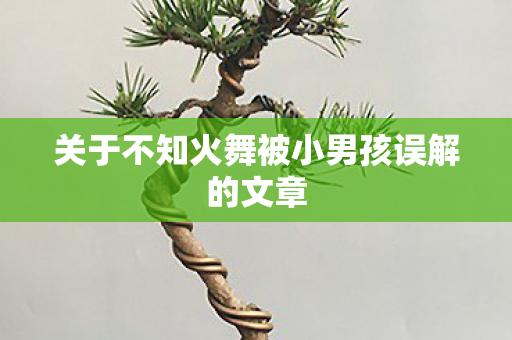 关于不知火舞被小男孩误解的文章图片