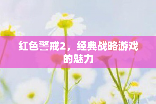 经典战略游戏的魅力图片