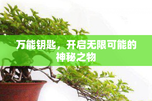 开启无限可能的神秘之物图片