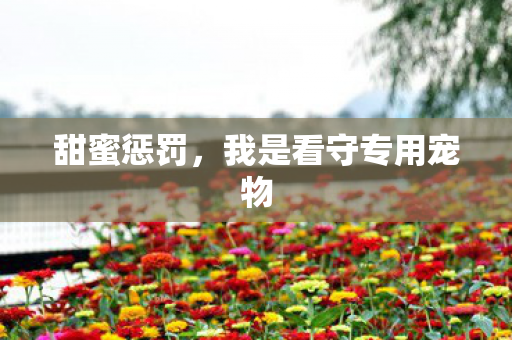 我是看守专用宠物图片