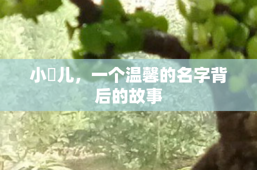 一个温馨的名字背后的故事图片