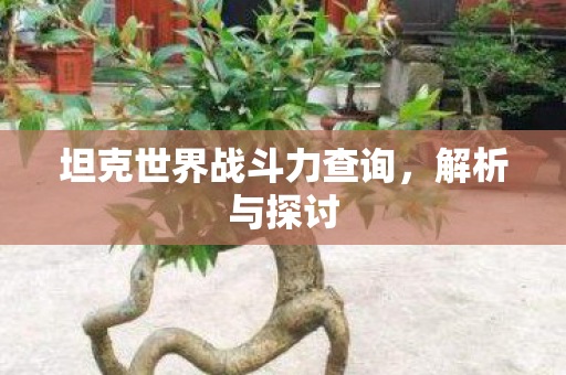 坦克世界战斗力查询图片
