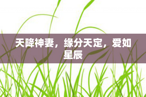 天降神妻图片