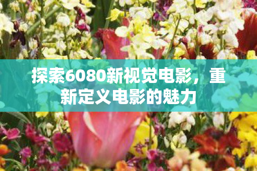 探索6080新视觉电影图片