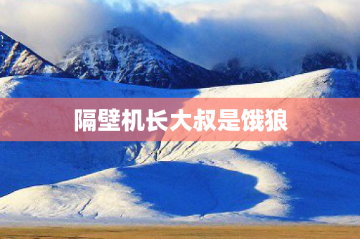 隔壁机长大叔是饿狼图片