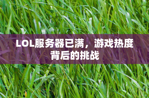游戏热度背后的挑战图片
