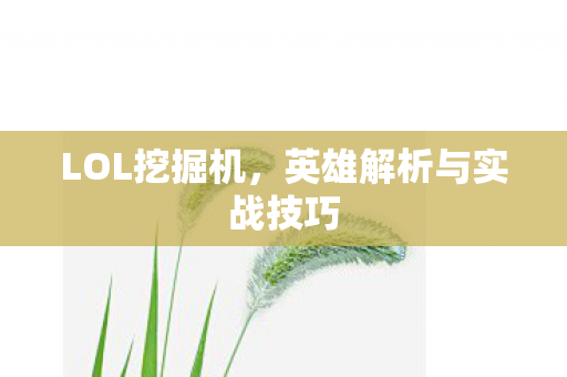 英雄解析与实战技巧图片