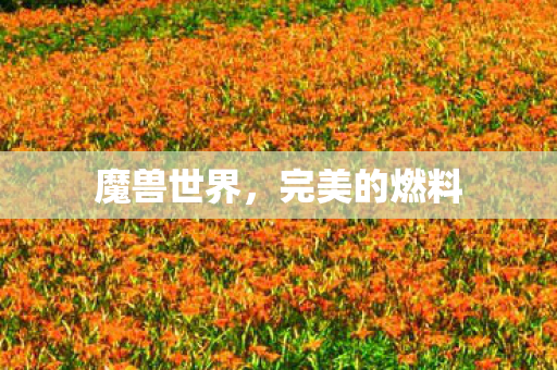 完美的燃料图片