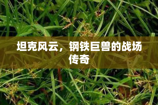 钢铁巨兽的战场传奇图片