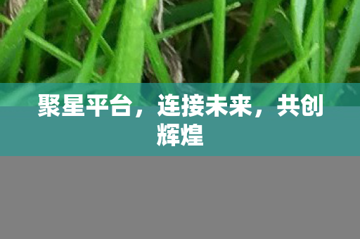 聚星平台图片