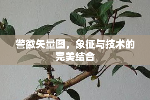 象征与技术的完美结合图片