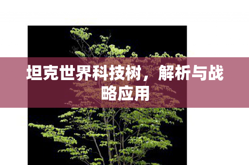 坦克世界科技树图片