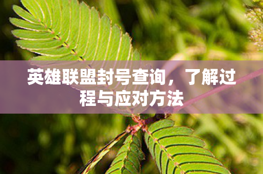 了解过程与应对方法图片