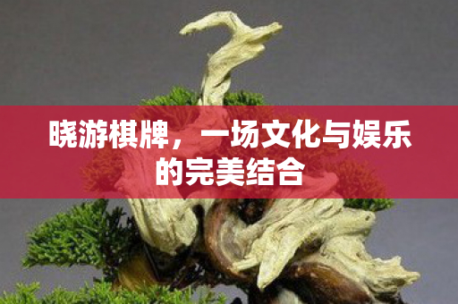 一场文化与娱乐的完美结合图片