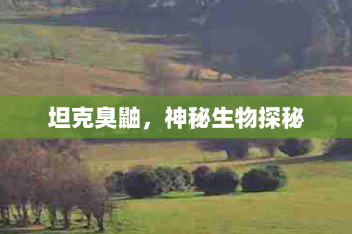 神秘生物探秘图片