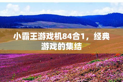 小霸王游戏机84合1图片