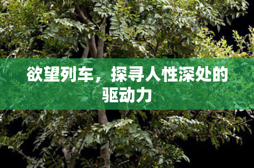 探寻人性深处的驱动力图片