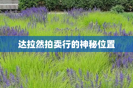 达拉然拍卖行的神秘位置图片