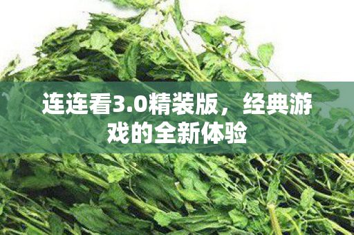 经典游戏的全新体验图片