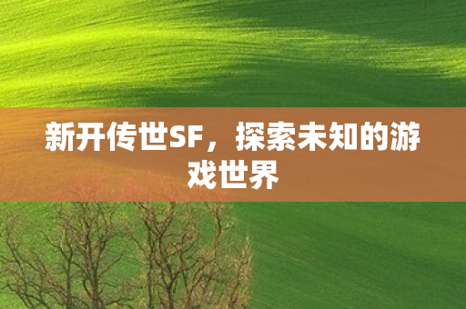 探索未知的游戏世界图片