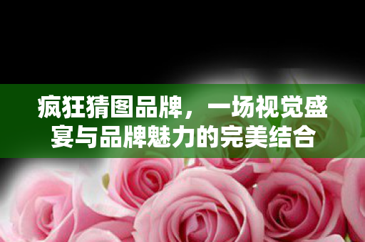 一场视觉盛宴与品牌魅力的完美结合图片