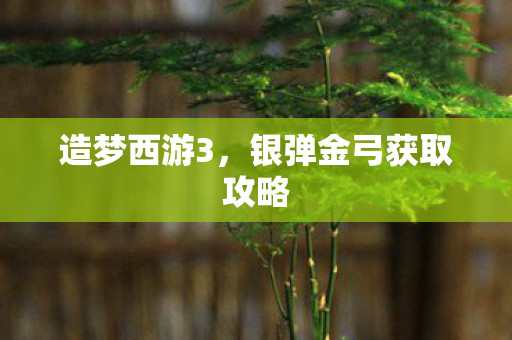 银弹金弓获取攻略图片