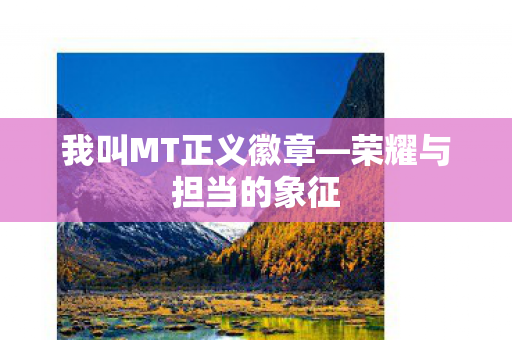 我叫MT正义徽章图片
