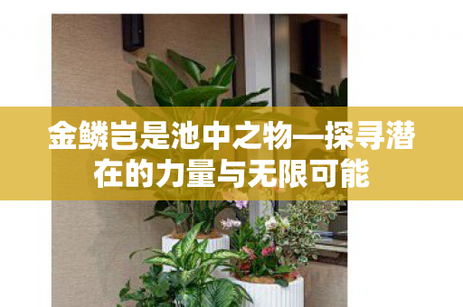 探寻潜在的力量与无限可能图片