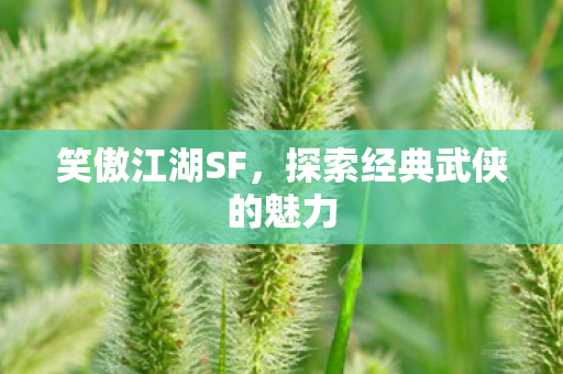 探索经典武侠的魅力图片