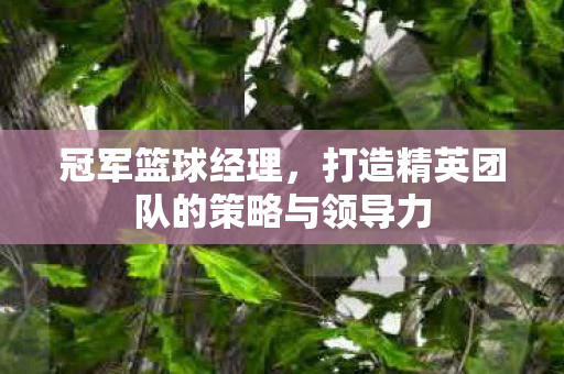 打造精英团队的策略与领导力图片