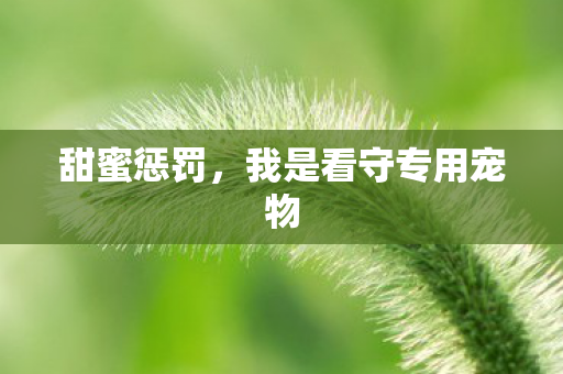 我是看守专用宠物图片