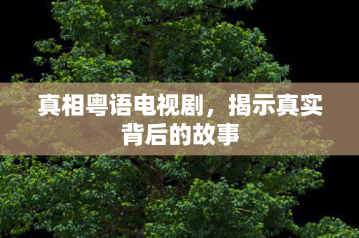 揭示真实背后的故事图片