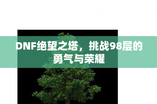 挑战98层的勇气与荣耀图片