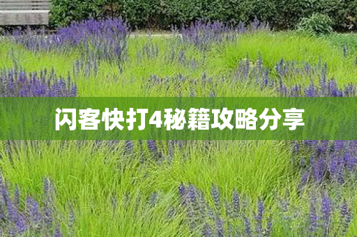 闪客快打4秘籍攻略分享图片