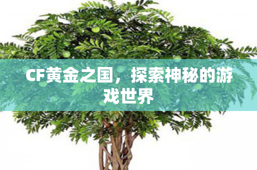 探索神秘的游戏世界图片