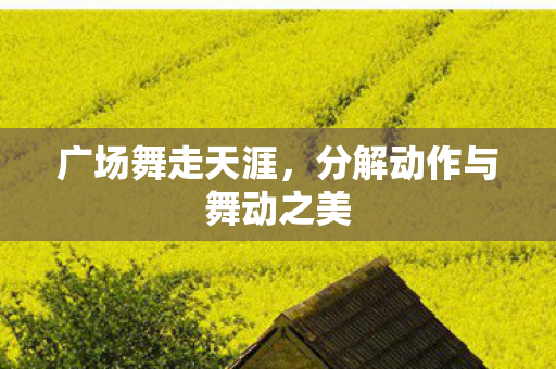 分解动作与舞动之美图片