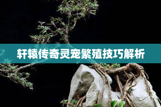 轩辕传奇灵宠繁殖技巧解析图片