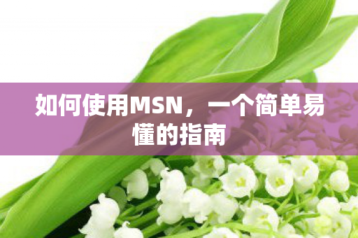 一个简单易懂的指南图片