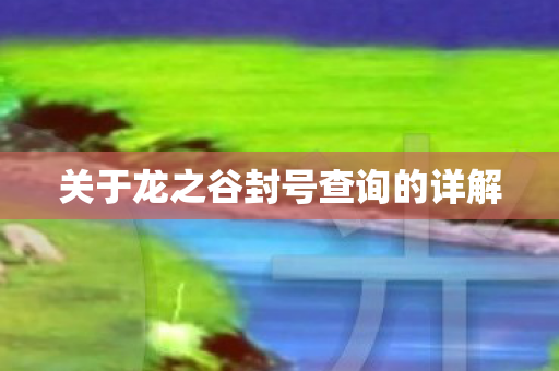 关于龙之谷封号查询的详解图片