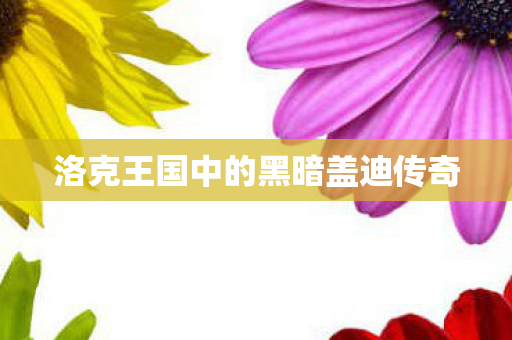 洛克王国中的黑暗盖迪传奇图片