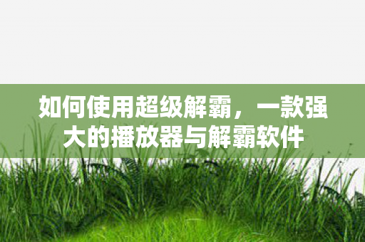 一款强大的播放器与解霸软件图片