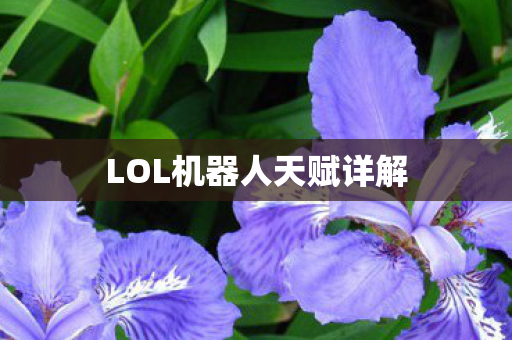 LOL机器人天赋详解图片