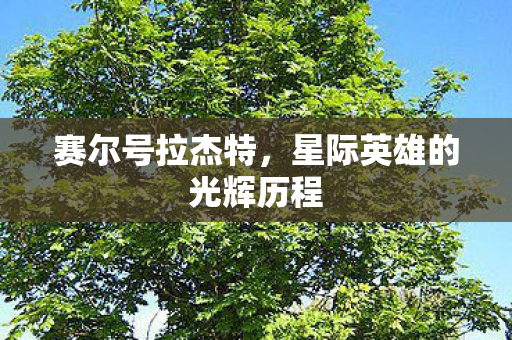 星际英雄的光辉历程图片