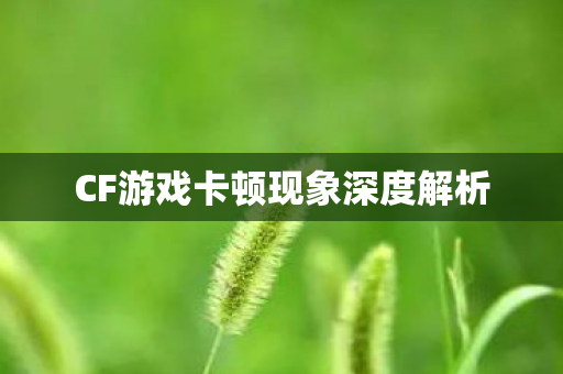 CF游戏卡顿现象深度解析图片